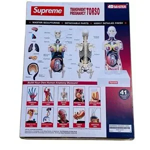 Finally got the female anatomy model to complete the set : r